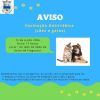Vacina&ccedil;&atilde;o Antirr&aacute;bica - 15 de Junho
