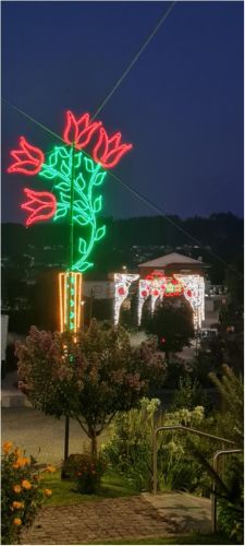 Festas em honra da Padroeira, Sta. Cristina 2025