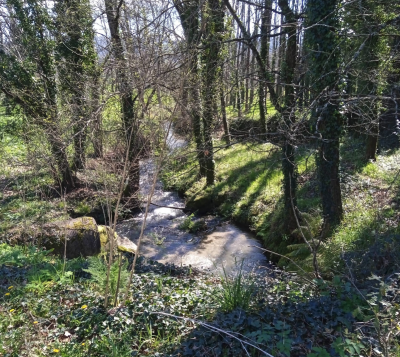 Moinho da Ponte - Ar&otilde;es Santa Cristina